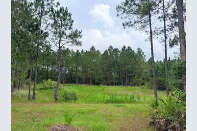 790 NW 42 Terrace, Chiefland, FL 32626 - Photo 38