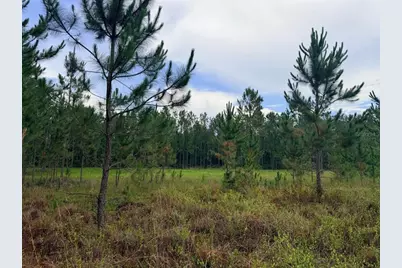 790 NW 42 Terrace, Chiefland, FL 32626 - Photo 36