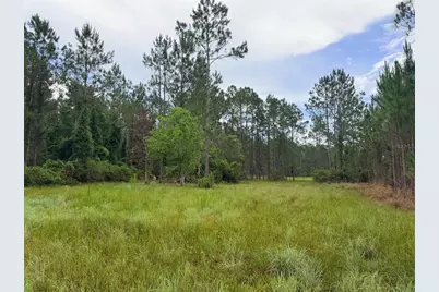 790 NW 42 Terrace, Chiefland, FL 32626 - Photo 32