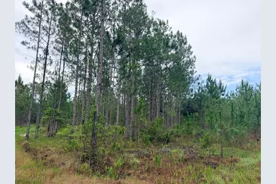 790 NW 42 Terrace, Chiefland, FL 32626 - Photo 40