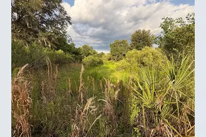 000 NW 68 Terrace, Chiefland, FL 32626 - Photo 2