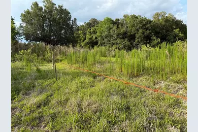 000 NW 68 Terrace, Chiefland, FL 32626 - Photo 12