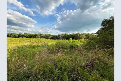 000 NW 68 Terrace, Chiefland, FL 32626 - Photo 14
