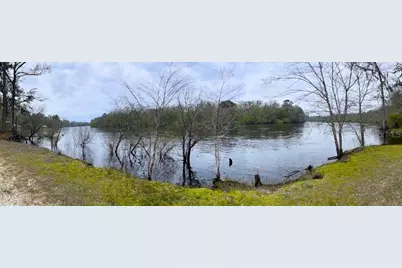 7809 SW 12th Place, Bell, FL 32619 - Photo 20