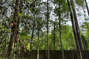 713 NW 95th Terrace, Gainesville, FL 32607 - Photo 20