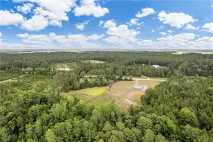2362 NE County Road 1469, Hawthorne, FL 32640 - Photo 58
