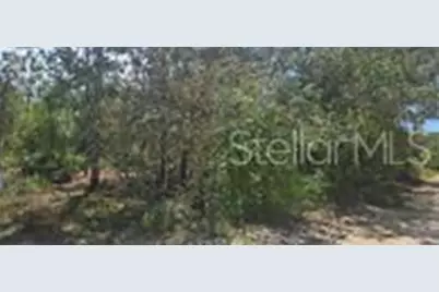 000 NE 67th Lane, Bronson, FL 32621 - Photo 2