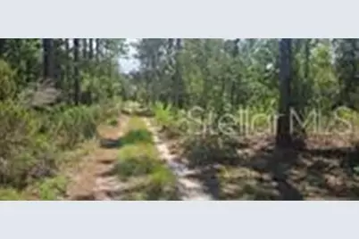 000 NE 67 Street, Bronson, FL 32621 - Photo 2