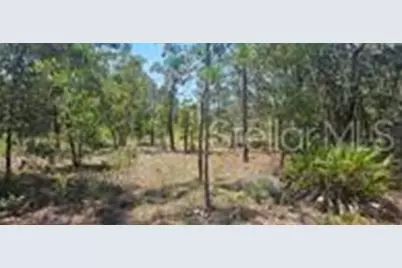 000 NE 67th Lane, Bronson, FL 32621 - Photo 1