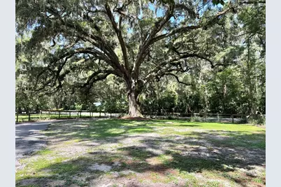 13565 NE 38th Avenue, Anthony, FL 32617 - Photo 18