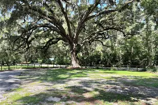 13565 NE 38th Ave, Anthony, FL 32617 - Photo 18
