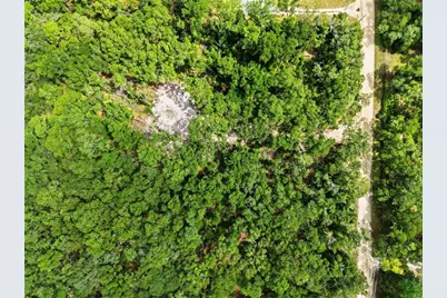 Lot 4 NW 78th Avenue, Chiefland, FL 32626 - Photo 16