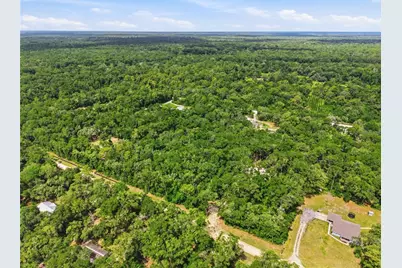 Lot 4 NW 78th Avenue, Chiefland, FL 32626 - Photo 14