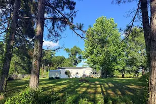 259 S E Rattler Ct, High Springs, FL 32643 - Photo 36