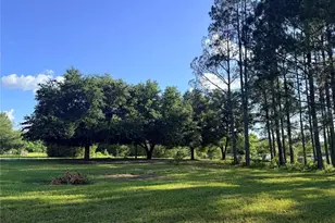 259 S E Rattler Ct, High Springs, FL 32643 - Photo 34