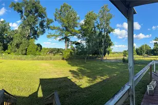 259 S E Rattler Ct, High Springs, FL 32643 - Photo 12