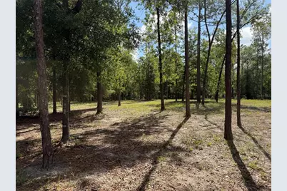 11160 NW 5th Avenue, Branford, FL 32008 - Photo 50