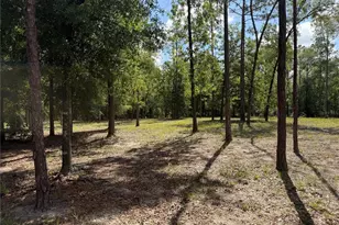 11160 NW 5th Ave, Branford, FL 32008 - Photo 50
