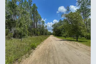 6339 NW 17th Court, Bell, FL 32619 - Photo 2