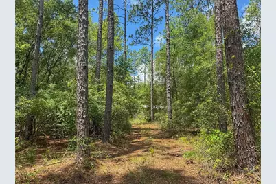 6339 NW 17th Court, Bell, FL 32619 - Photo 4
