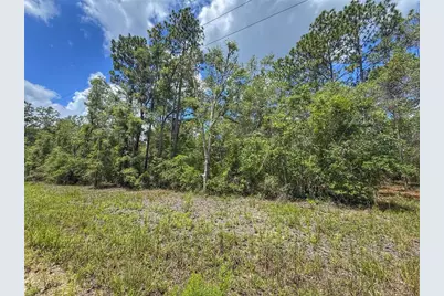 6339 NW 17th Court, Bell, FL 32619 - Photo 6