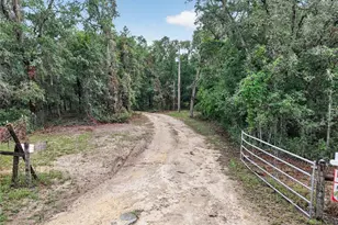 104 Long Pond Way, Hawthorne, FL 32640 - Photo 74