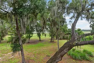 104 Long Pond Way, Hawthorne, FL 32640 - Photo 44