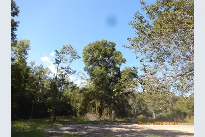 761 SW Sunview Street, Fort White, FL 32038 - Photo 2