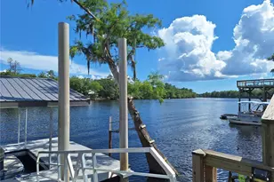 8213 Riverview Rd, Fanning Springs, FL 32693 - Photo 40