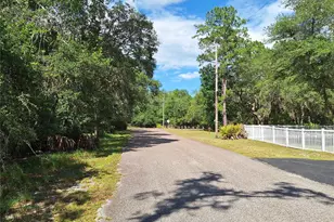 8213 Riverview Rd, Fanning Springs, FL 32693 - Photo 52