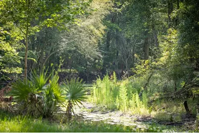 5278 SW County Road 138, Fort White, FL 32038 - Photo 92