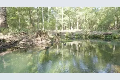 5278 SW County Road 138, Fort White, FL 32038 - Photo 4