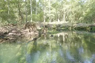 5278 SW County Rd 138, Fort White, FL 32038 - Photo 4