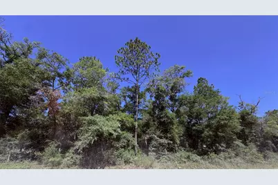 0 NE 90th Avenue #LOT 14-A, Bronson, FL 32621 - Photo 1