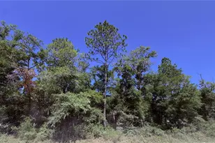 0 NE 90th Ave, Bronson, FL 32621 - Photo 1