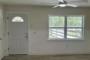 317 NE 4 Ave, Williston, FL 32696 - Photo 4