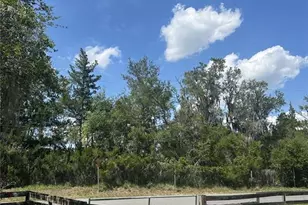 317 NE 4 Ave, Williston, FL 32696 - Photo 46