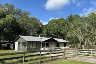 317 NE 4 Ave, Williston, FL 32696 - Photo 50