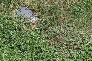 5832 NW 63rd Pl, Ocala, FL 34482 - Photo 38
