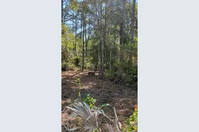 Sw 126th Ave, Lake Butler, Lake Butler, FL 32054 - Photo 6