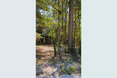 Sw 126th Ave, Lake Butler, Lake Butler, FL 32054 - Photo 8