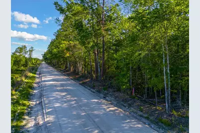 Sw 126th Ave, Lake Butler, Lake Butler, FL 32054 - Photo 4