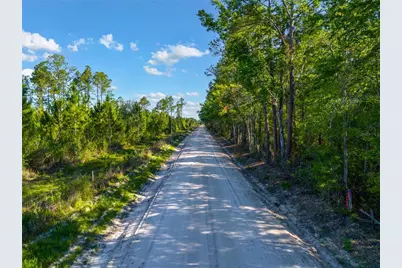 Sw 126th Ave, Lake Butler, Lake Butler, FL 32054 - Photo 2