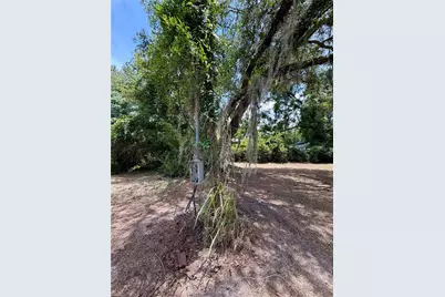 424 Margaret Street, Bronson, FL 32621 - Photo 4