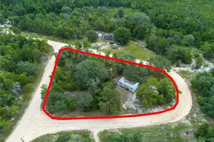 108 Kitty Ave, Interlachen, FL 32148 - Photo 2
