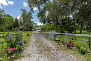 11751 SE 16 Ln, Morriston, FL 32668 - Photo 6