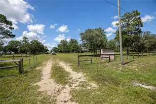 11751 SE 16 Ln, Morriston, FL 32668 - Photo 78