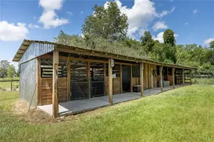 11751 SE 16 Ln, Morriston, FL 32668 - Photo 64