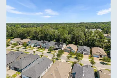 13688 NW 12th Place, Newberry, FL 32669 - Photo 38