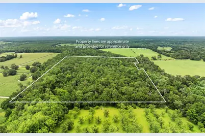 8250 Waukeenah Highway, Monticello, FL 32344 - Photo 30